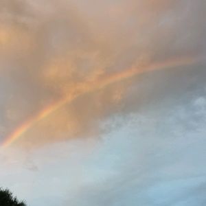 Meet your Posher, Cat